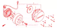 ALTERNATEUR pour Honda VTR 250 de 2002