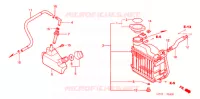 RADIATEUR pour Honda 50 SMART DIO DX de 2001
