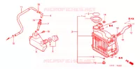 RADIATEUR pour Honda 50 SMART DIO DX de 2001