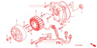 ROTOR   STATOR pour Honda 50 SMART DIO DX de 2001