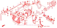 RADIATEUR pour Honda FORZA 250 ST ABS IDLE STOP - TOP BOX de 2002