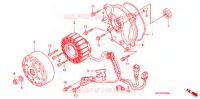 ROTOR   STATOR pour Honda 50 SMART DIO CLEAN 4 YOU de 2002