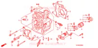 CULASSE pour Honda 50 SMART DIO Z4 de 2004