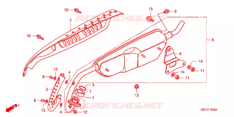 SILENCIEUX D'ECHAPPEMENT Honda MOTO 50 MONKEY 2004  Z50J4_M