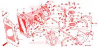RADIATEUR pour Honda SHADOW VT 750 SPIRIT F de 2007