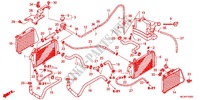 RADIATEUR pour Honda GL 1800 GOLD WING de 2012