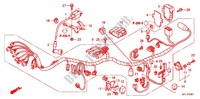 FAISCEAU DES FILS (Z50J9,B,C,E) pour Honda MONKEY 50 de 2012