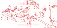 SILENCIEUX D'ECHAPPEMENT pour Honda PACIFIC COAST 800 de 1996