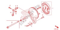 FLASQUE   MACHOIRES DE FREIN ARRIERE pour Honda FUTURE 125 Casted wheels, Rear brake drum de 2012