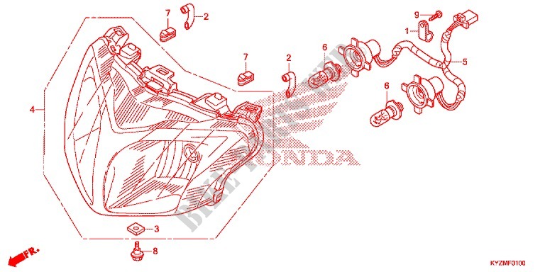 PHARE (AFS125MSD/MCSD,E/MCRD,E) pour Honda FUTURE 125 Casted wheels, Rear brake drum de 2014