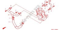 DURITE DE REFROIDISSEMENT pour Honda CB X4 1300 LD de 2000