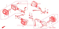 CLIGNOTANT pour Honda CB 250 NIGHTHAWK de 2006