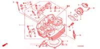 CULASSE pour Honda CB 300 R de 2011