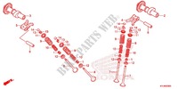 ARBRE A CAMES   SOUPAPE pour Honda CBR 250 R TRICOLOR de 2012