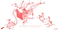 RADIATEUR pour Honda S WING 125 ABS E de 2012