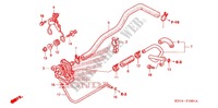FILTRE A AIR   SOUPAPE D'AIR pour Honda CRF 250 X de 2011