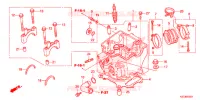 CULASSE pour Honda CRF 250 X de 2015