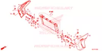 OUIES DE RADIATEUR pour Honda CTX 700 N DUAL CLUTCH de 2014