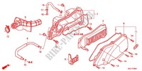 FILTRE A AIR pour Honda GIORNO 50 SPECIAL EDITION de 2013