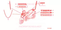 AUTOCOLLANTS pour Honda TODAY 50 SPECIAL de 2008