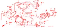 RADIATEUR pour Honda FORZA 250 Z ABS de 2007
