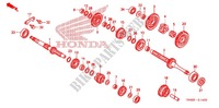BOITE DE VITESSES pour Honda TRX 250 FOURTRAX RECON Electric Shift de 2006