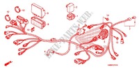 FAISCEAU DES FILS  pour Honda TRX 250 FOURTRAX RECON Electric Shift de 2008