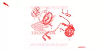 ALTERNATEUR pour Honda TRX 250 FOURTRAX RECON Electric Shift de 2009