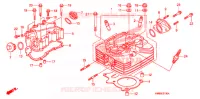 CULASSE pour Honda TRX 250 FOURTRAX RECON Electric Shift de 2009