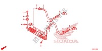 RADIATEUR D'HUILE pour Honda TRX 250 FOURTRAX RECON Electric Shift de 2016