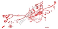 FAISCEAU DES FILS pour Honda TRX SPORTRAX 250 X de 2011