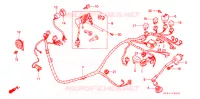 FAISCEAU DES FILS (SZ50P/R/T) pour Honda TACT 50 STAND UP de 1996