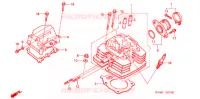 CULASSE pour Honda FOURTRAX 350 RANCHER 4X4 de 2005