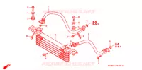 RADIATEUR D'HUILE pour Honda FOURTRAX 350 RANCHER 4X4 de 2005
