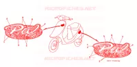 AUTOCOLLANTS pour Honda SY 50 PAL de 1993