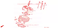 CYLINDRE   CULASSE pour Honda SY 50 PAL de 1993