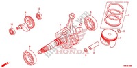 VILEBREQUIN   PISTON pour Honda FOURTRAX 500 FOREMAN RUBICON 4X4 ES IRS de 2017