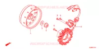 ALTERNATEUR pour Honda SUPER CUB 50 MD -YC- de 2016