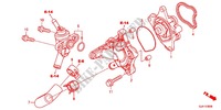 POMPE A EAU pour Honda TACT 50      2J de 2015