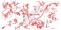 FAISCEAU DES FILS (NSC50SH8/9/B/E) pour Honda 50 DIO CESTA de 2012