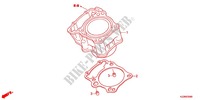 CYLINDRE pour Honda CRF 250 LOWER RED de 2017