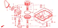 FILTRE A HUILE   CARTER D'HUILE   POMPE A HUILE pour Honda V TWIN MAGNA 250 SPEED WARNING LIMIT de 1995