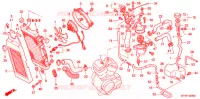 RADIATEUR pour Honda SHADOW 600 VLX de 2006