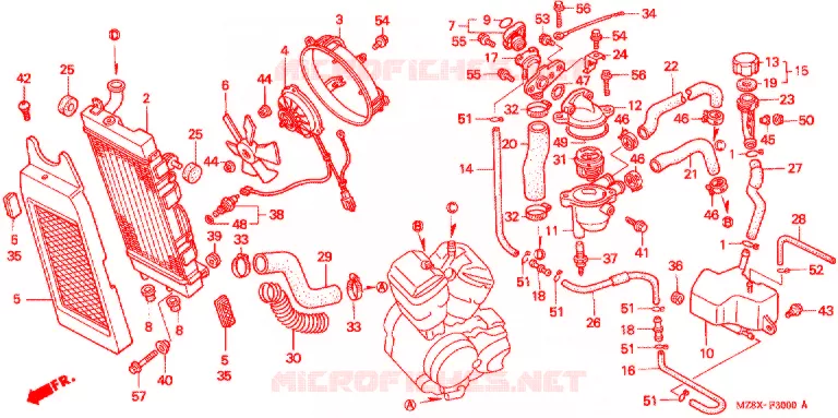 RADIATEUR Honda MOTO 600 SHADOW 2000  VT600CD2Y