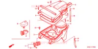 FILTRE A AIR pour Honda NSR 50 de 2000