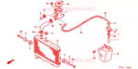 RADIATEUR pour Honda NSR 50 de 2000