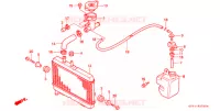 RADIATEUR pour Honda NSR 80 de 1991