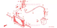 RADIATEUR pour Honda NSR 80 de 1996