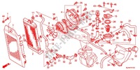 RADIATEUR (VT750C/CA/C2/C2B/C2F/CS/C2S) pour Honda SHADOW VT 750 AERO C-ABS de 2013