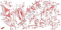 RADIATEUR pour Honda VTX 1800 R Black crankcase, Chromed forks cover, Radiato cover black de 2006